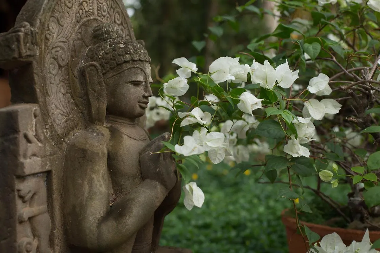 Somatheeram Ayurveda Village Kovalam